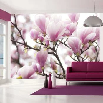 Fototapeta wodoodporna - Gałązka kwitnącej magnolii