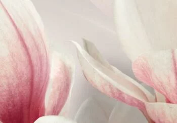 Obraz - Magnolia w rozkwicie - obrazek 3