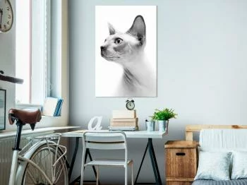 Obraz - Bezwłosy kot (1-częściowy) pionowy - obrazek 2