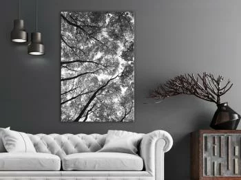 Obraz - Wysokie drzewa (1-częściowy) pionowy - obrazek 2