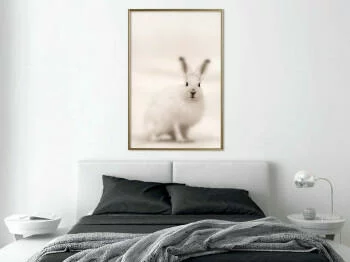 Plakat - Zaciekawiony królik - obrazek 2