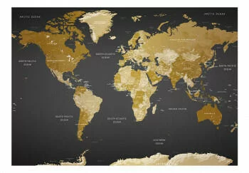 Fototapeta samoprzylepna - Mapa świata: Nowoczesna geografia - obrazek 2
