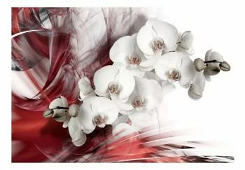 Fototapeta 3D - Orchidea w czerwieni - obrazek 2