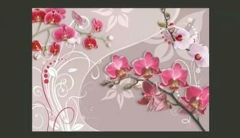 Fototapeta - Lot różowych orchidei - obrazek 2