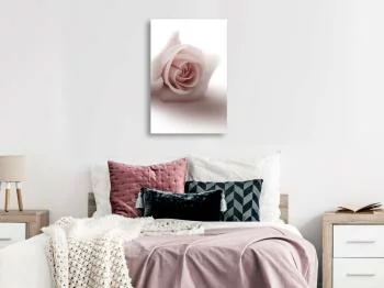 Obraz - Różany cień (1-częściowy) pionowy