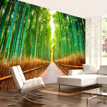 Fototapeta wodoodporna - Bambusowy las