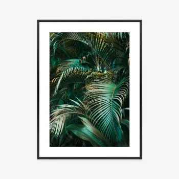 Plakat w ramie - gęste liście palmowe palmy - obrazek 3