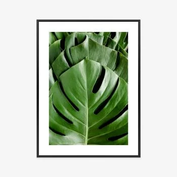 Plakat w ramie - monstera liście palmowe - obrazek 3