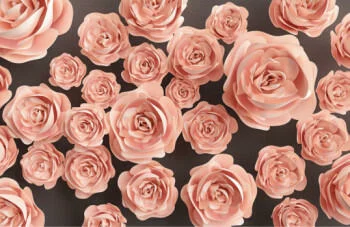 Fototapeta 3D łososiowe róże - obrazek 2