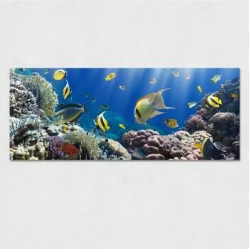 Obraz na szkle - podwodny świat
