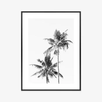 Plakat w ramie - czarno-białe palmy - obrazek 3