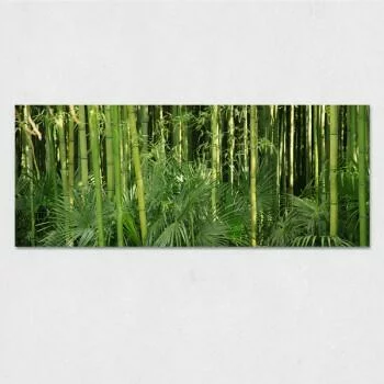 Obraz na szkle - las bambusowy