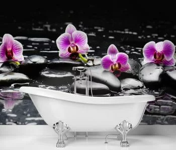 Fototapeta, Kamienie zen i orchidea