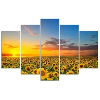 Obraz pięcioczęściowy na płótnie, Słoneczniki na łące - obrazek 3