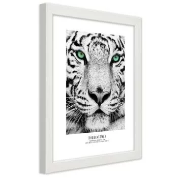 Obraz w ramie, Biały tygrys - obrazek 2