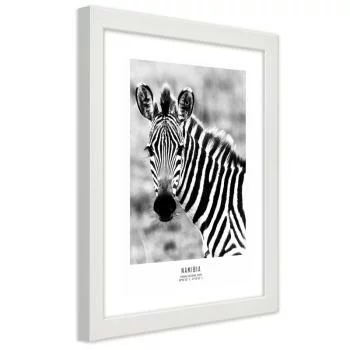 Obraz w ramie, Ciekawska zebra - obrazek 2