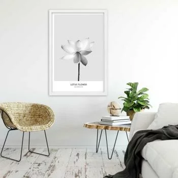 Obraz w ramie, Biały kwiat lotosu