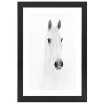 Obraz w ramie, Siwy koń - obrazek 3