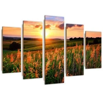 Obraz pięcioczęściowy Deco Panel, Zachód słońca nad łąką - obrazek 2