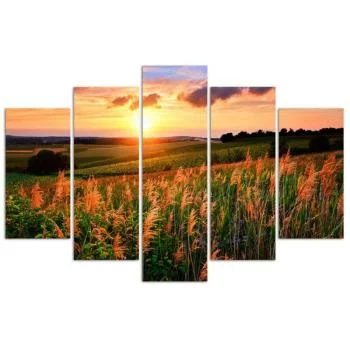 Obraz pięcioczęściowy Deco Panel, Zachód słońca nad łąką - obrazek 3