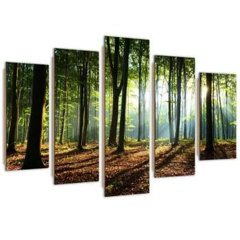 Obraz pięcioczęściowy Deco Panel, Promienie słońca w lesie - obrazek 2