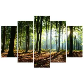 Obraz pięcioczęściowy Deco Panel, Promienie słońca w lesie - obrazek 3