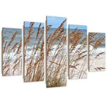 Obraz pięcioczęściowy Deco Panel, Trzciny nad morzem - obrazek 2
