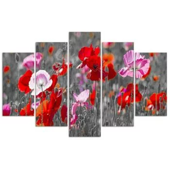 Obraz pięcioczęściowy Deco Panel, Maki na wiosennej łące - obrazek 3