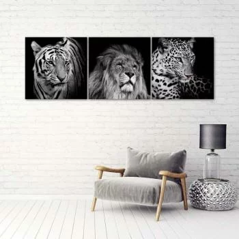 Zestaw obrazów Deco Panel, Czarno-białe drapieżne zwierzęta