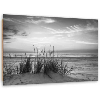 Obraz Deco Panel, Trawy na plaży - czarno-biały - obrazek 2