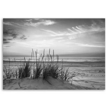 Obraz Deco Panel, Trawy na plaży - czarno-biały - obrazek 3