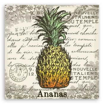 Obraz na płótnie, Ananas vintage - obrazek 3