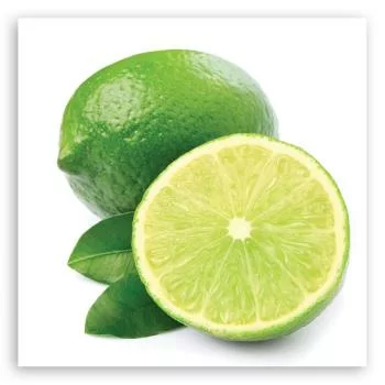Obraz Deco Panel, Owoce limonka - obrazek 3