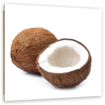 Obraz Deco Panel, Owoce kokos - obrazek 2