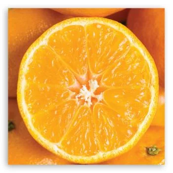 Obraz na płótnie, Pomarańcza makro - obrazek 3