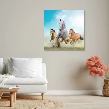 Obraz Deco Panel, Galopujące konie