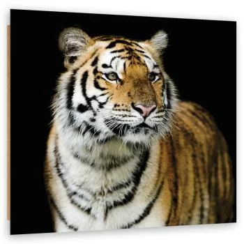 Obraz Deco Panel, Majestatyczny tygrys - obrazek 2