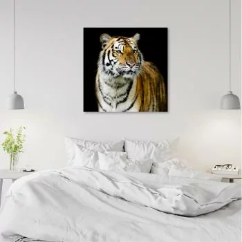 Obraz Deco Panel, Majestatyczny tygrys