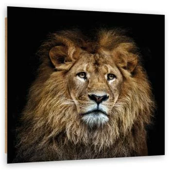 Obraz Deco Panel, Majestatyczny lew - obrazek 2
