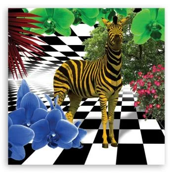 Obraz Deco Panel, Kolorowa zebra natura zwierzęta - obrazek 3