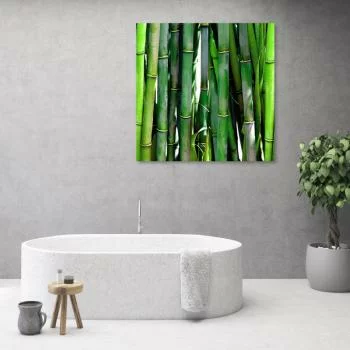 Obraz Deco Panel, Zielone bambusy