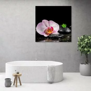 Obraz Deco Panel, Kwitnąca orchidea zen