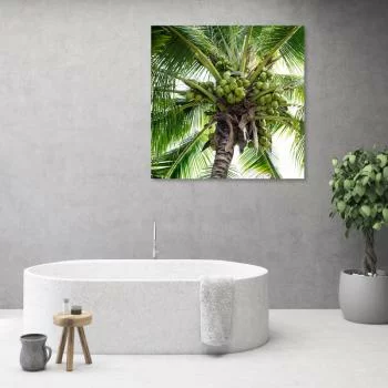 Obraz Deco Panel, Palma kokosowa
