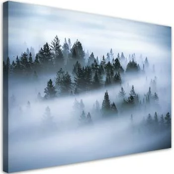 Obraz na płótnie, Las we mgle - obrazek 2