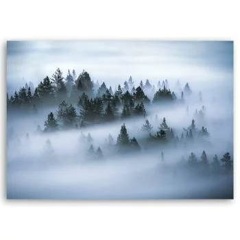 Obraz na płótnie, Las we mgle - obrazek 3