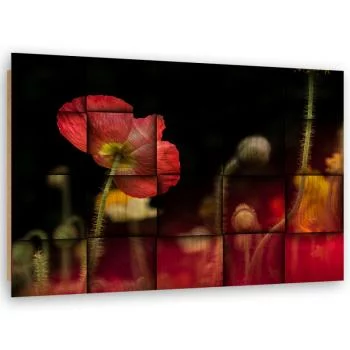 Obraz Deco Panel, Czerwony kwiat maku  - obrazek 2