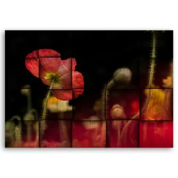 Obraz Deco Panel, Czerwony kwiat maku  - obrazek 3