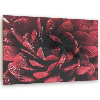 Obraz Deco Panel, Kwiat w skali makro - obrazek 2