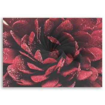 Obraz Deco Panel, Kwiat w skali makro - obrazek 3