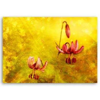 Obraz Deco Panel, Zwiędłe tulipany kwiaty - obrazek 3